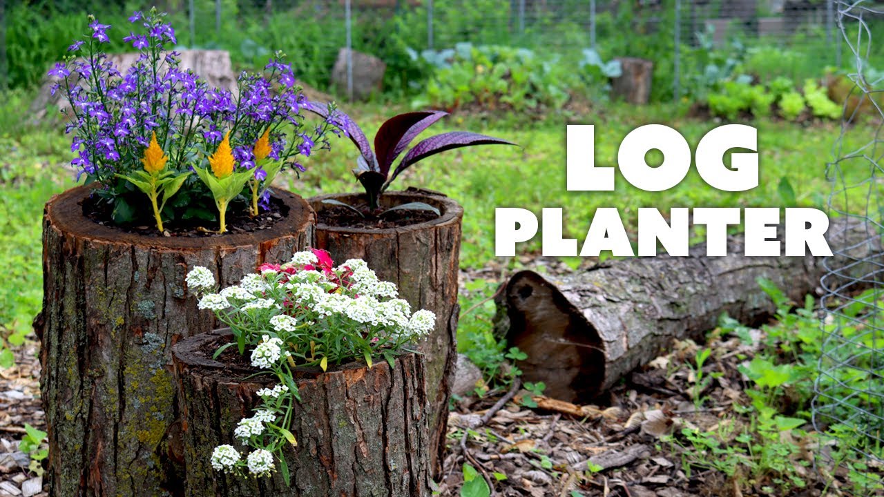 How to Make a LOG PLANTER for Your Garden