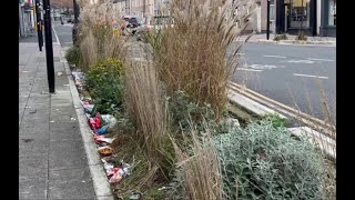 What happened to Cardiff's rain gardens months after they were built