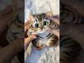 Come pet this silly little tabby kitty.#handmade #art #fluffy #diy #fyp