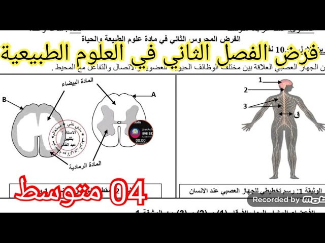 فرض الفصل الثاني في العلوم الطبيعية السنة الرابعة متوسط 2026