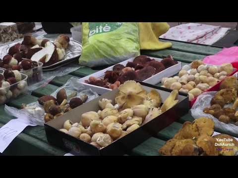 Video: Kā Atvērt Pārtikas Paviljonu