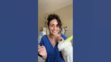 سارة هيثم من أجمل الأصوات العربية النقية Eygpt مصري اكسبلور Music Cover ساره Yt 