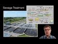 Water Pollution Insights and Impacts on Ecosystems