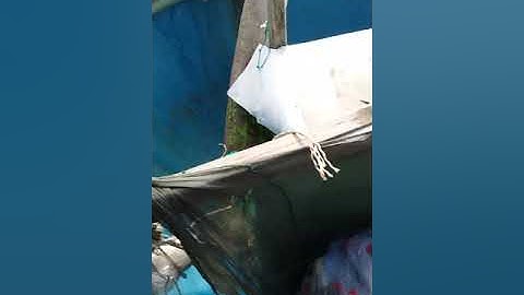 Đi đánh bắt cá đuối và chiến lợi phẩm 🏟