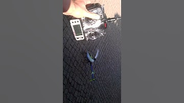 Belt CP V2 Helicommand 3A 1/2