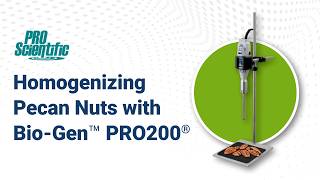 Pecan Nuts Sample Homogenization with the PRO Scientific Bio-Gen PRO200