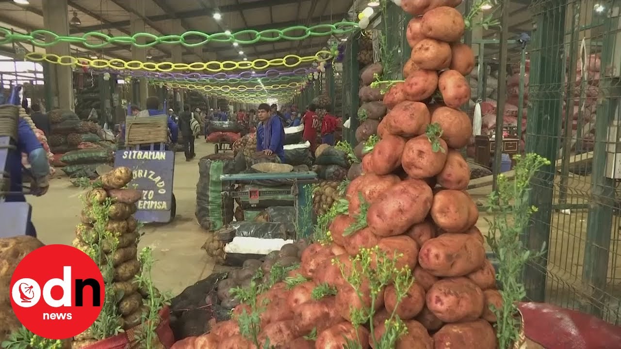 Hundreds flock to annual Potato Festival in Peru