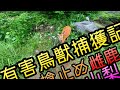 有害鳥獣捕獲記５