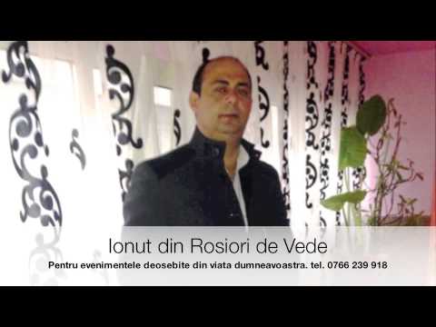 Formatie petrecere Rosiori de Vede