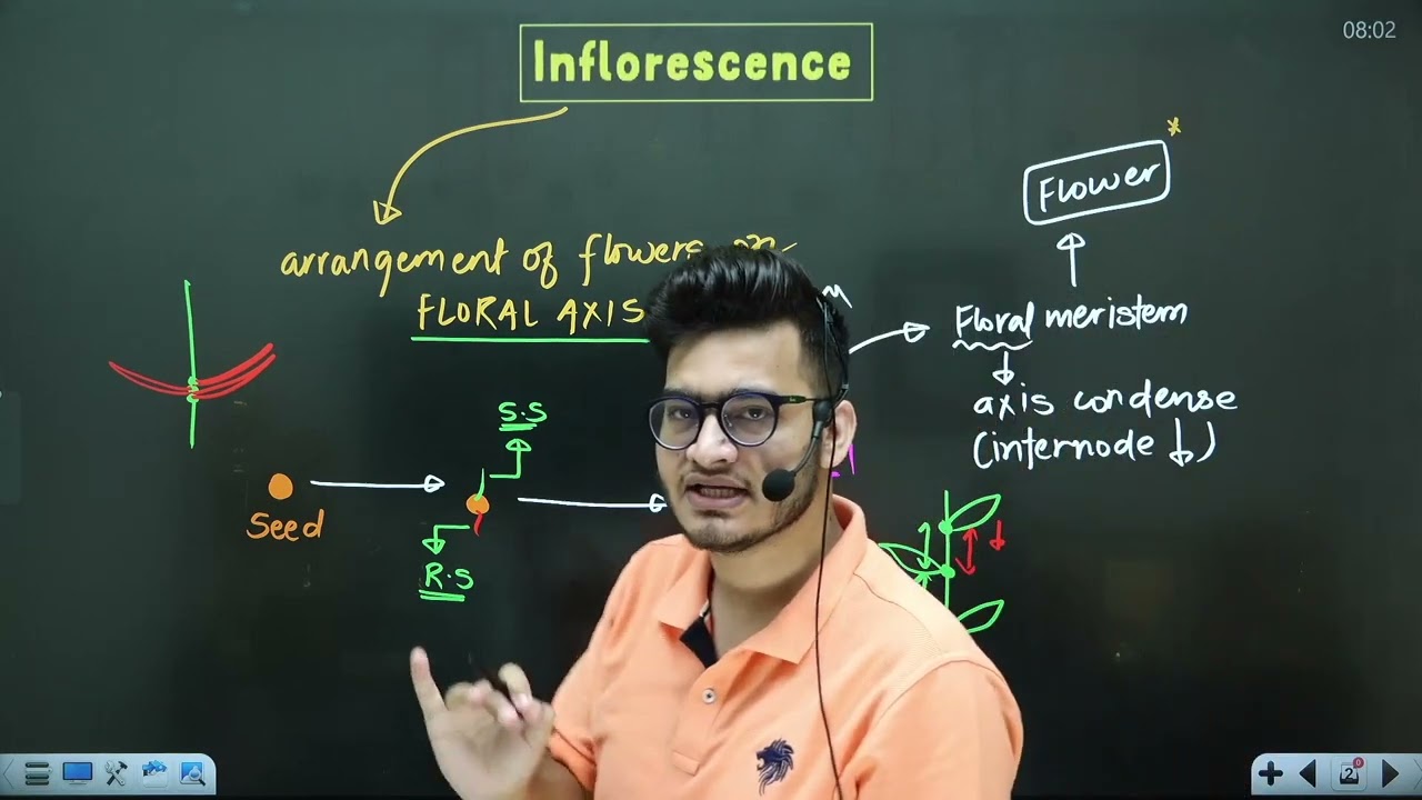 L4: Cymose & Racemose Inflorescence | Morphology in Flowering Plants | 11th Class Biology ft. Vipin