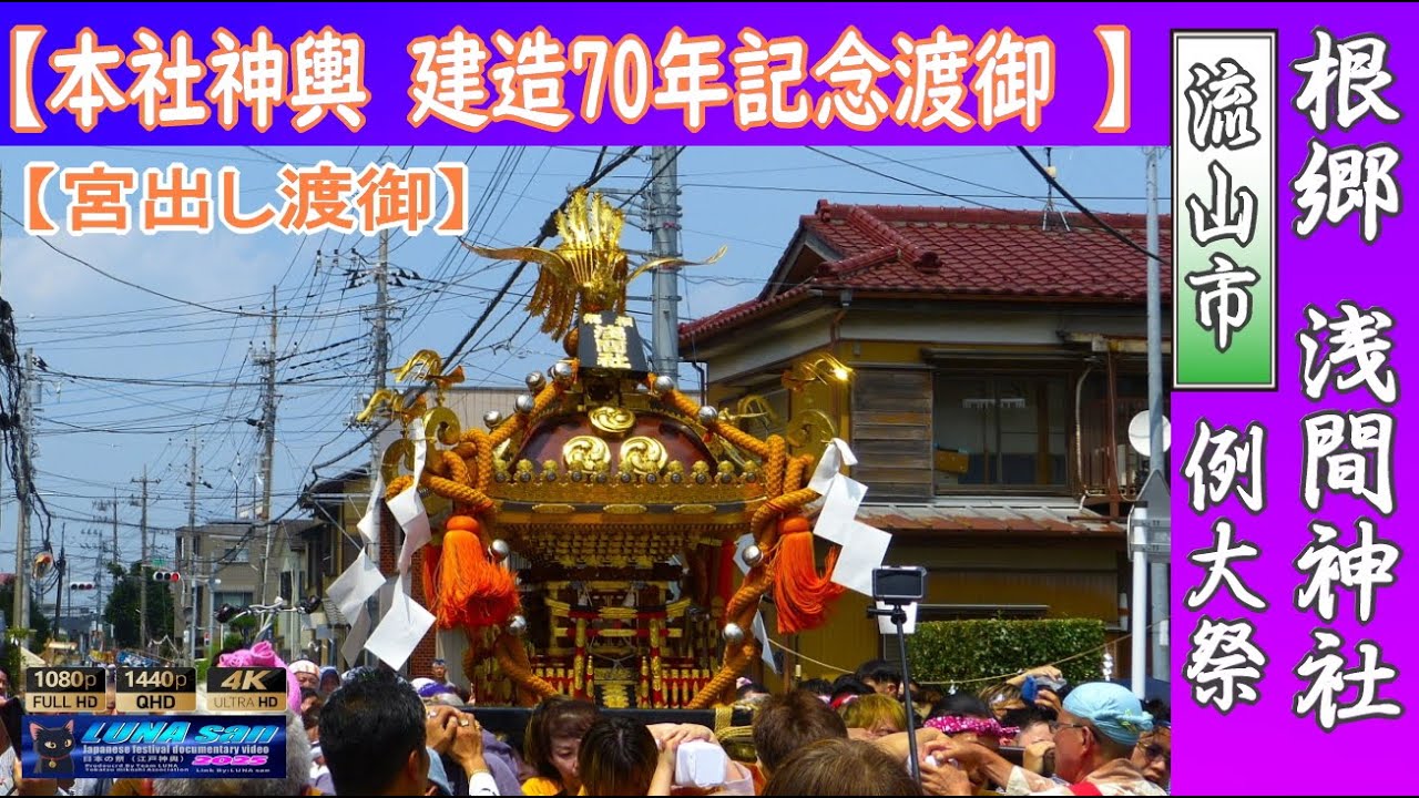 令和7年 流山市 根郷浅間神社 例大祭 本社神輿 建造70年記念  渡御
