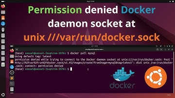 How  to fix Permission denied Docker daemon socket at unix ///var/run/docker.sock | Fix Permission