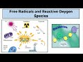 Free Radicals and Reactive Oxygen Species (ROS) || Introduction to Free Radicals