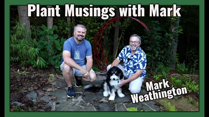 Plant Masters with Mark Weathington - Amazing Home...
