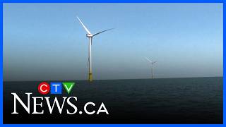 Atlantic Canada's offshore wind potential is 'massive'