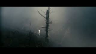 Antichrist - Hypnosis forest scene