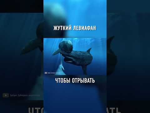 Этого Доисторического Кашалота БОЯЛИСЬ ВСЕ #shorts