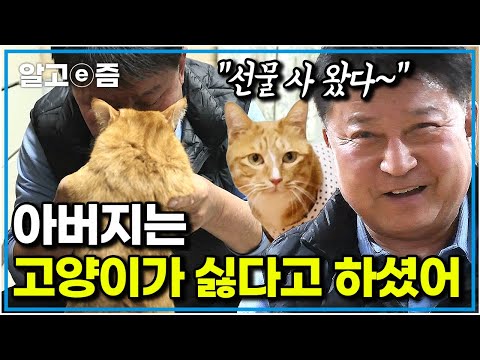 우울증과 무력감으로 힘들 때 운명적으로 만난 고양이로 180도 바뀐 가족｜한국기행｜알고e즘