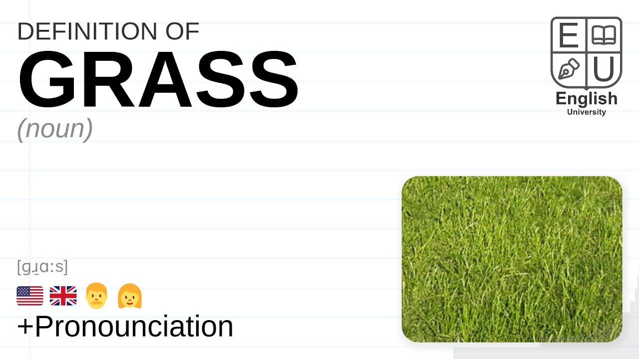 grass meaning essay