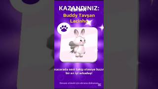 Tavşanlar Nerede? Where Is The Rabbits? Şfet Shorts