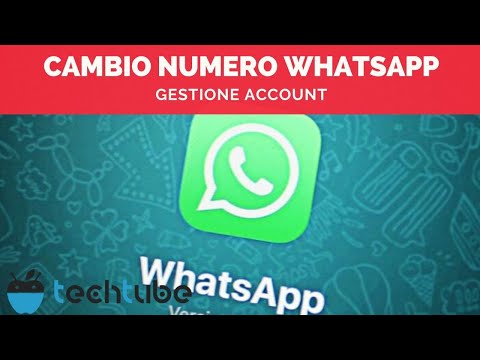 Video: Come whatsapp notifica il cambio di numero?