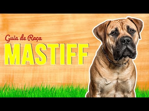 GUIA DE RAÇA MASTIFF | RICHARD RASMUSSEN