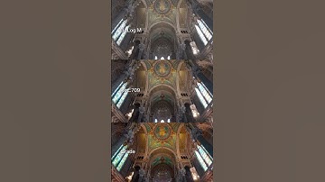 Osmo Pocket 3📷D-Log M vs Rec.709 vs Graded