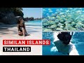 Similan Islands Tour (Ausflug in das Inselparadies Thailands - Lohnt es sich?)