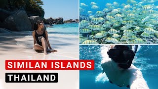 Similan Islands Tour (Ausflug in das Inselparadies Thailands - Lohnt es sich?)