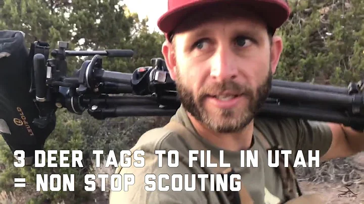 Scouting For Mule Deer In Southern Utah "INQUEST 2018" Antler Trader