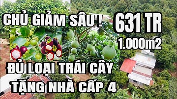 Anh tín hạ giá bán gấp, vườn đủ loại trái cây, tặng nhà cấp 4, cẩm mỹ đồng nai