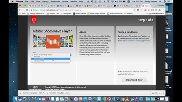 Adobe Shockwave Update