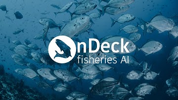 Pitchfest 2022 Finalist: OnDeck Fisheries AI