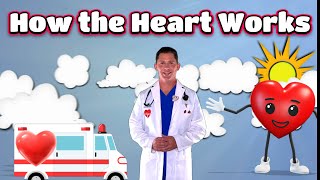 How the Heart Works, Education and Music for Kids!
