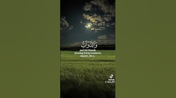ما تيسر من سورة الحج 🩶
