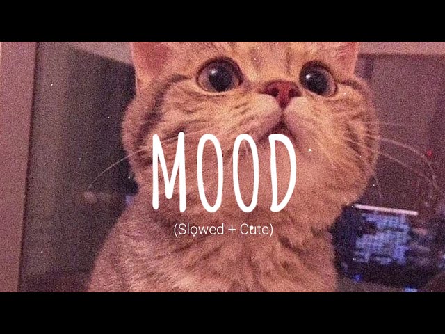 24Kgoldn - Mood (Slowed Cute) // Dangling (Vietsub + Lyric) Tik Tok Song class=