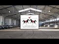 The Cracow Show and Arabian Horse Auction 2017