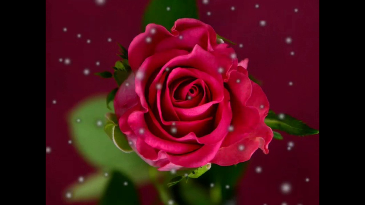 Feliz Cumpleaos Hija Linda 80 Mensajes Y Frases Feliz Cumpleaos Hija Linda 80 Mensajes Y Frases
