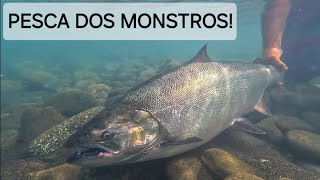 ÚLTIMO DIA DE PESCA DOS SALMÕES DINOSSAUROS! PARAÍSO CHILENO! RIO YELCHO @alien_fishing_oficial by ALIEN FISHING 45 views 7 days ago 18 minutes