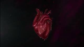 PINKNOISE - WHY ARE WE CALLING IT LOVE? (Official Visualizer)