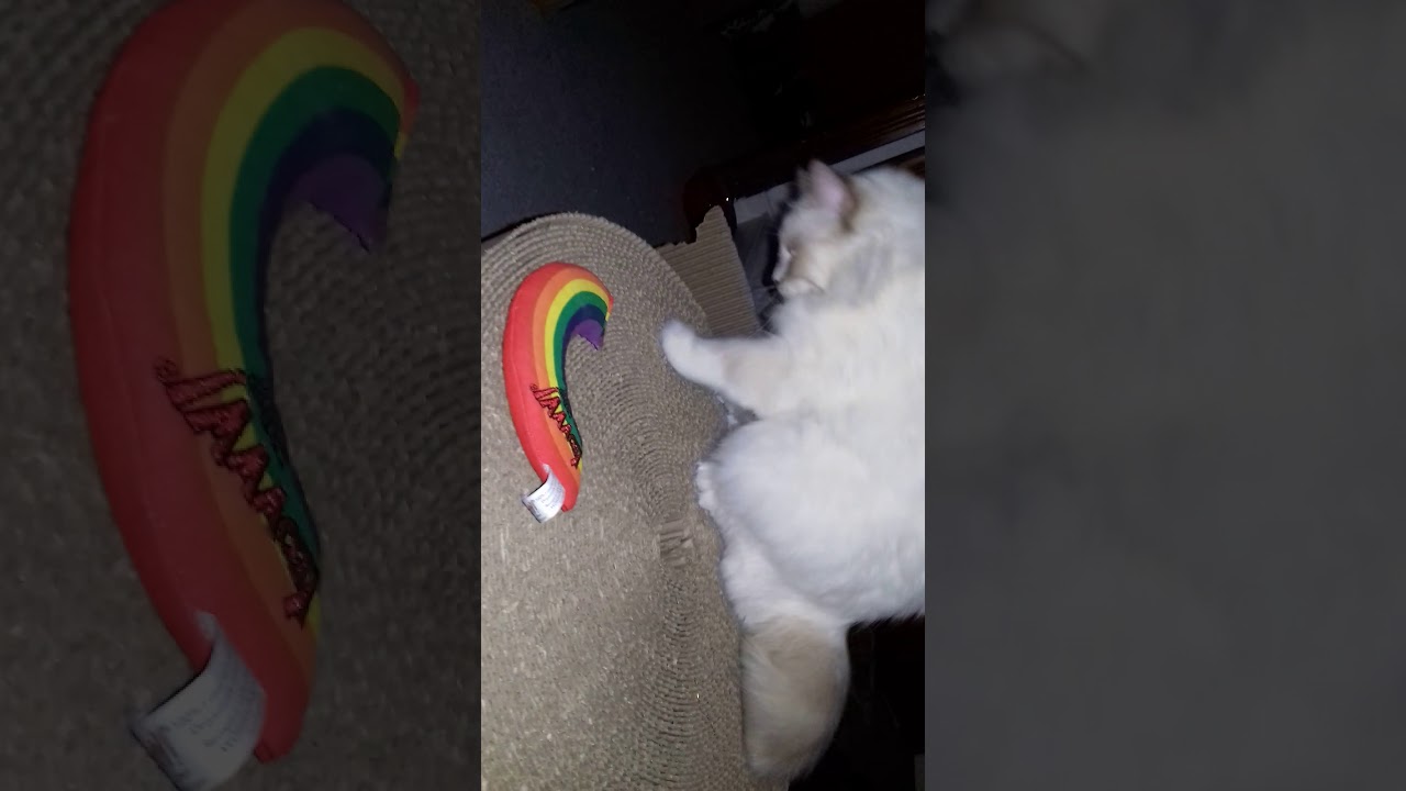 yeowww catnip rainbow