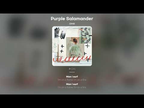 [Lyric Video] 김농밀 (nongmill kim) - Purple Salamander