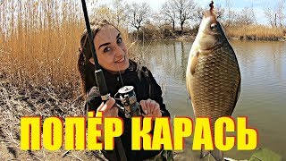 ВОТ ЭТО КЛЕВ КАРАСЯ!!! Таня ЖЖЕТ. Весна ловля карася 2019.