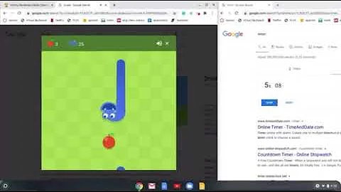 Google snake game WR (small, fast, 25 apples, infinity)