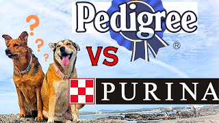 Best Dog Food   The Truth Pedigree Vs Purina  The 2 Largest Pet Food Companies