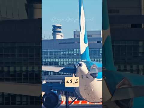 شمایل الهام گرفته از گل لاله