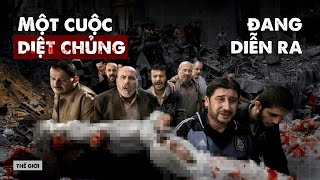 Tình Hình Ở Dải Gaza Đang Căng Thẳng Đến Mức Nào? Bích-Tảo Thế Giới