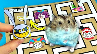 Drawing JAX x POMNI x RAGATHA x ZOOBLE x CAINE for Cardboard Maze Game by HAMSTERS SHOW 1,281 views 1 month ago 3 minutes, 27 seconds
