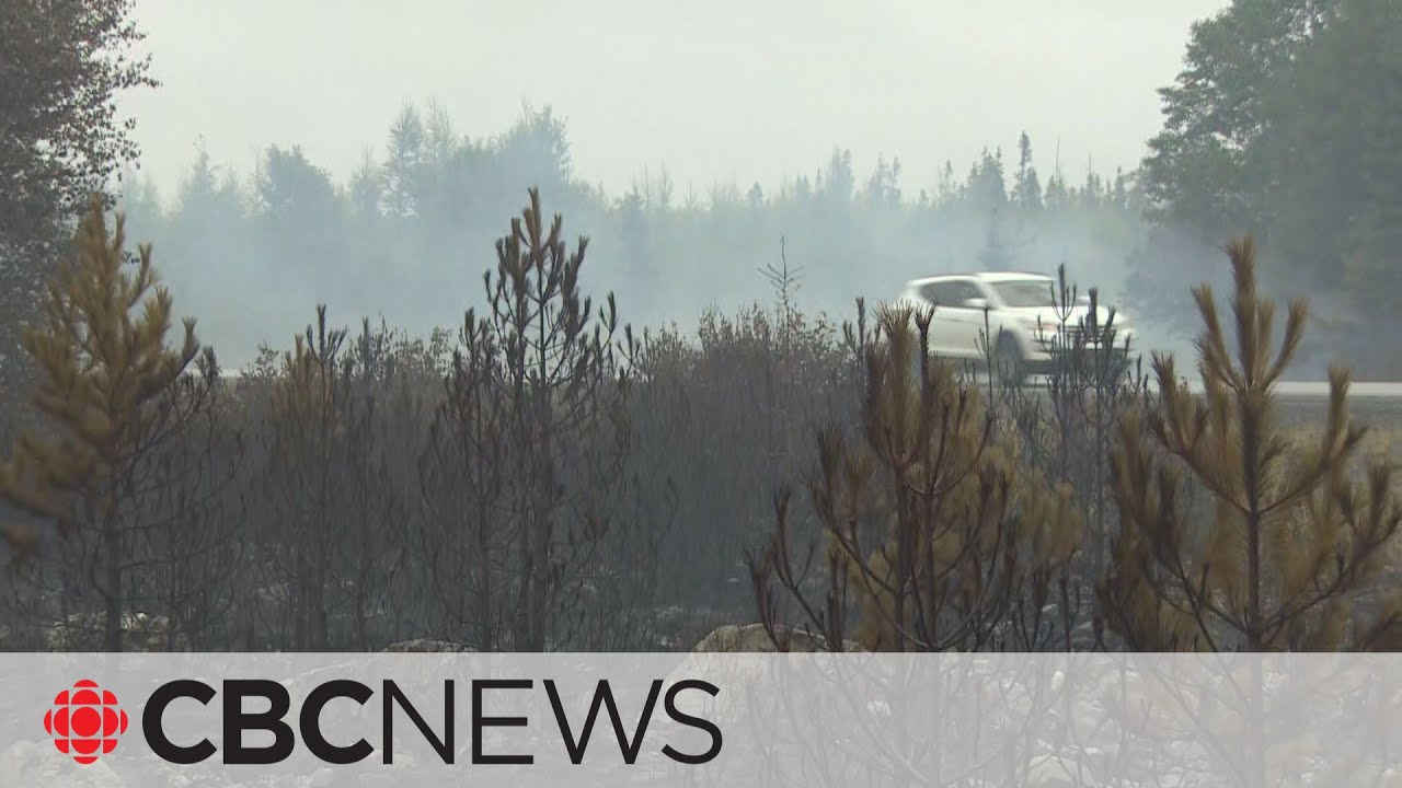 Smoke from 3 wildfires fuelling air quality concerns in Newfoundland