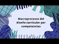 Macroprocesos del diseño curricular por competencias